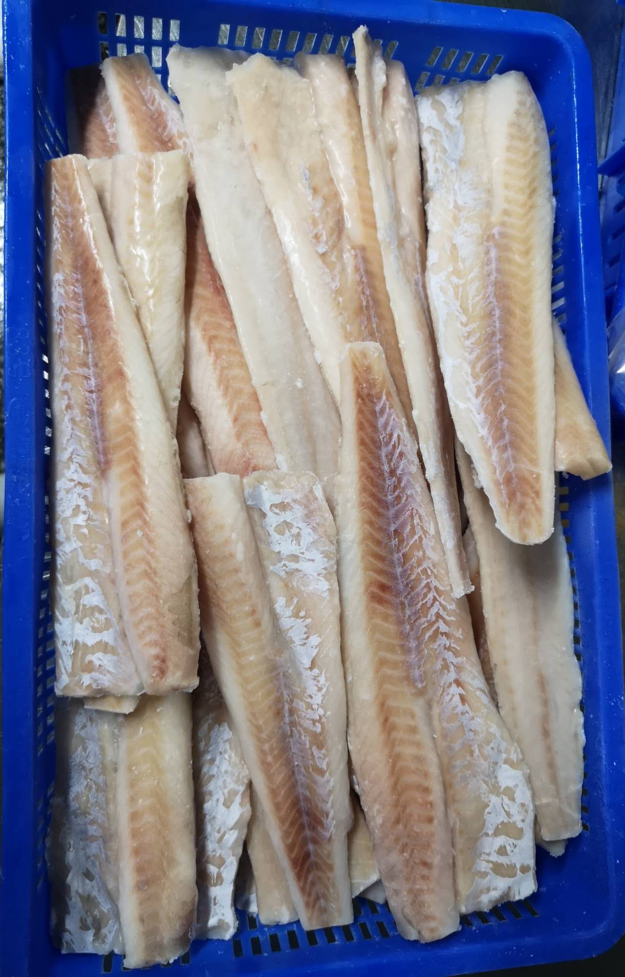 FILETTO DI POLLOCK CONG. 5KG 鳕鱼片